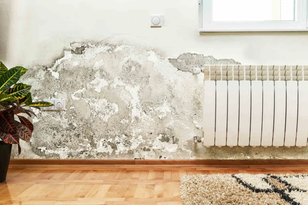 wall-waterproofing-singapore